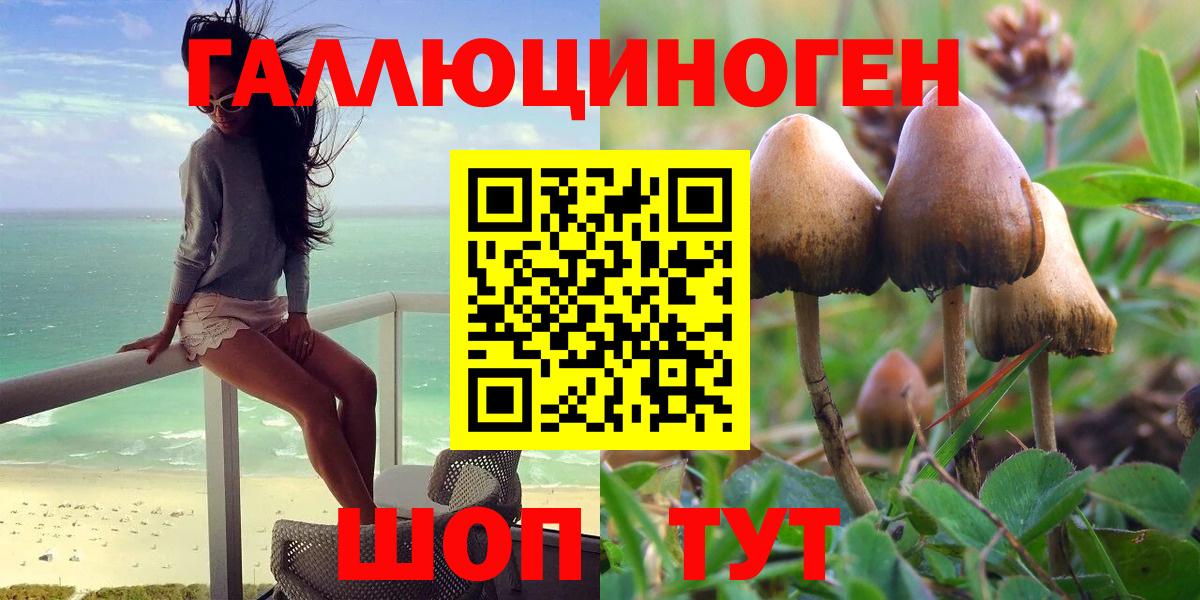Псилоцибиновые грибы MAGIC MUSHROOMS  Вход с VPN  Новокуйбышевск 