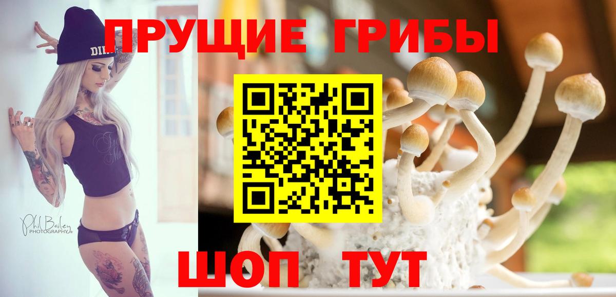 Галлюциногенные грибы прущие грибы Новокуйбышевск